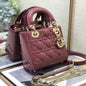Mini Lady Dior Bag