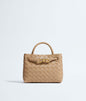 Bottega Veneta Mini Andiamo