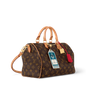 LV Speedy Soft 30 Crafty Bag