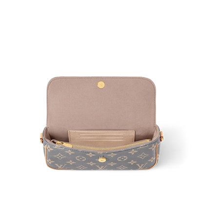 Louis vuitton Wallet on Chain Ivy